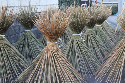 矢竹とは、その名の通り矢の材料となることから付けられた細い竹です。茨城県内だと笠間市内や常陸太田市の山に多く生えています。