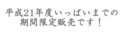 平成21年中の期間限定サービス