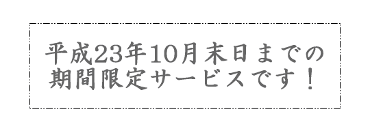 期間限定サービス