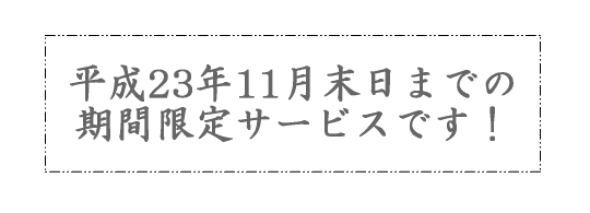 期間限定サービス