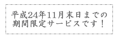 期間限定特別サービス