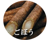 瑞々しい新鮮な茨城のごぼうです。