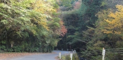 北茨城市にある花園渓谷です。茨城の絶景スポットの一つで四季を通じて楽しめます。