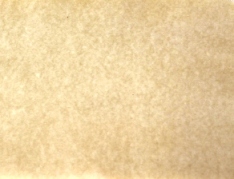 小室かな料紙工房の染紙は落ち着いた和紙として利用されています。