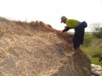 常陸風土記の丘は、茅葺き職人の減少や茅葺き屋根の技術、作品を後世に残すために茅葺技術者育成事業を行っております。