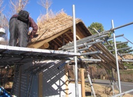 豊後荘病院敷地内の茅葺き屋根を葺き替えします。