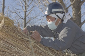 常陸風土記の丘の茅葺職人渡辺大です。