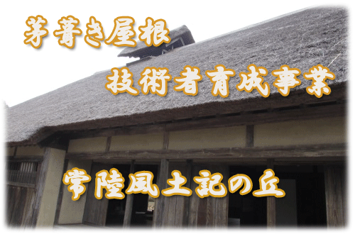 常陸風土記の丘では、茅葺き屋根の技術と作品を後世に残すために茅葺き職人の育成に取り組んでいます。