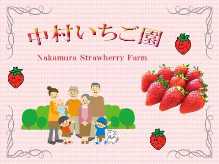 茨城県石岡市朝日地区にある中村いちご園ではいちごを栽培・販売をしています。近年、茨城県が開発した人気品種『いばらキッス』を取り扱っていて大変好評です。