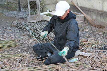 5代目の小池 和義氏の息子である6代目の小池 豪氏は竹切りした竹の皮を剥いていました。