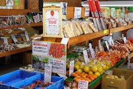 いつも新鮮、大地の直営店