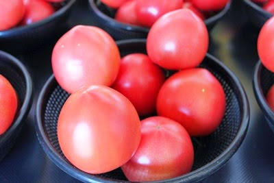 大地の美味しくて新鮮なトマト