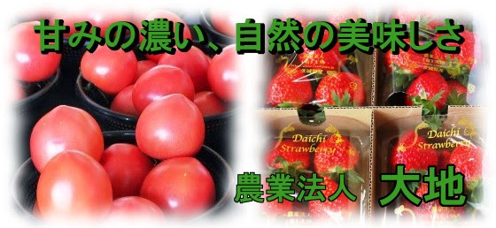 茨城の美味しいトマト・いちごです。