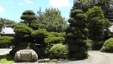 須藤本家の庭です。