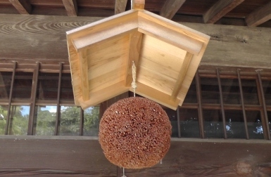 酒蔵を取り囲むように育っている欅の木は、蔵を夏の暑い日差しから守ります,茨城県,笠間市,須藤本家