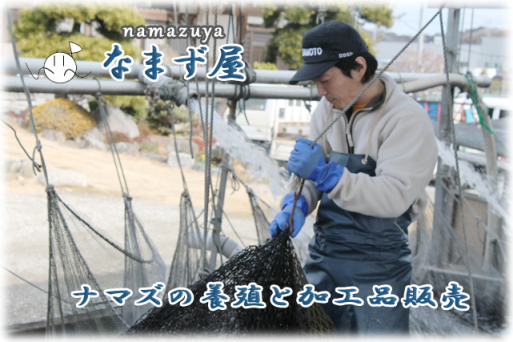 茨城県行方市でアメリカナマズの養殖および活魚からフィレーなどの一次加工品を販売や問屋・市場・飲食店・旅館に下ろしています。社長の野原吉伸です。