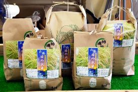 大洗町のブランド米である日の出米です。
