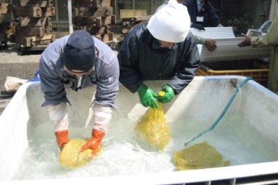 種籾をお湯に浸たす「温湯種子消毒」という方法で，農薬を使わずに種子消毒ができます。