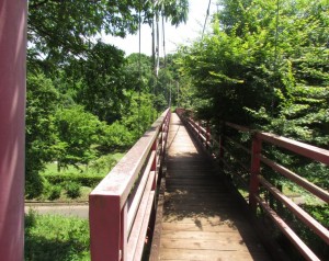 茨城県茨城町涸沼自然公園内のいととんぼ橋