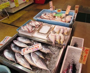 新鮮な魚介類の数々
