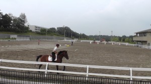 乗馬苑馬場