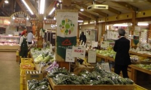 JA全農いばらきで魅力発見！