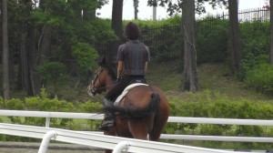 美浦村の乗馬苑で若き訓練生の走りを見る