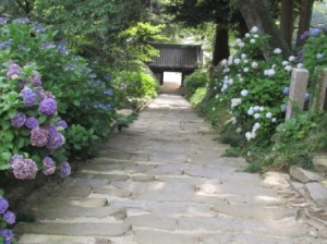 参道石階段