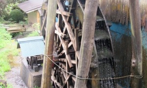【石岡市の駒村清明堂】水車を使った杉線香作り100年の伝統　その１
