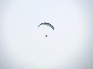 IMG_1286