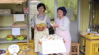 【今が旬の梨】茨城県かすみがうら市の川上梨園さん