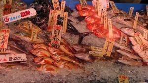 お魚2