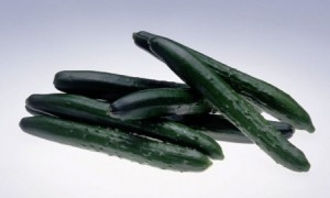 牛久沼の河童伝説