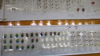 小さな米粒一つひとつに匠の技を見た！水戸市の郷土工芸品「米粒人形」