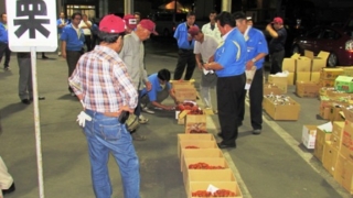 秋の味覚『栗の夕競り』を日本で初の試み～石岡中央青果～