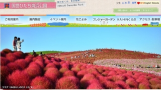 ひたち海浜公園コキアが見頃、茨城ＧＧ優勝、10月第３週エンタメ記事