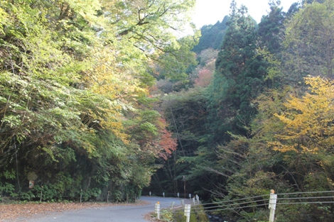 花園川上流一帯が花園渓谷です