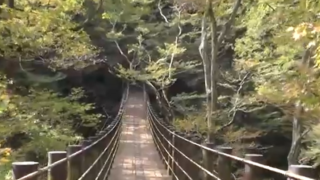 渓谷の美しい自然をぜひ！花貫渓谷、見頃は11月中旬～11月下旬！