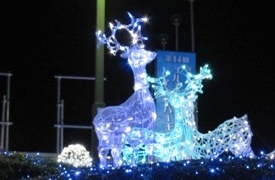 茨城県の光輝く幻想的な世界へイルミネーション総集編（2014年）