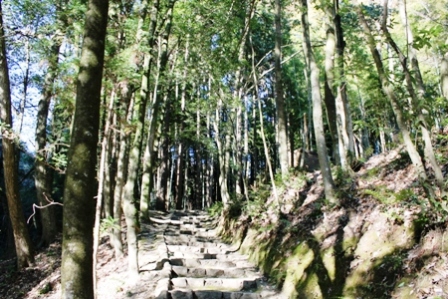 西山の里から住居跡に向かう途中はこのような道