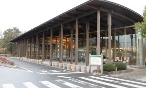 潮来市の観光スポットを巡って歴史や豊かな自然を学べます