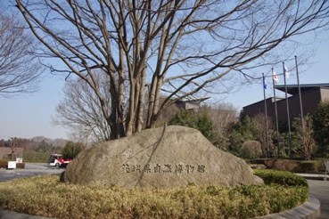 ミュージアムパーク茨城県自然博物館入り口