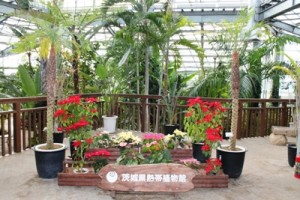 茨城県植物園内の熱帯植物館の入り口です。