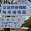 那珂市の茨城県植物園で春の訪れを感じる睦月の今日この頃
