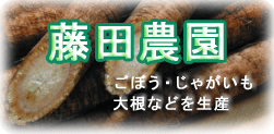 小美玉市茨城空港近くの藤田農園は、ごぼう・じゃがいも・大根などを生産しております。