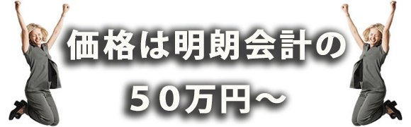 コンサル価格は明朗の低料金で、５０万円～