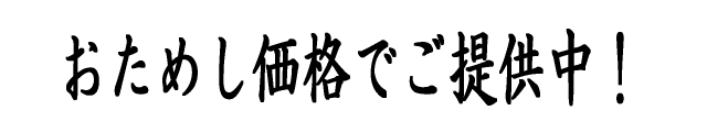 おためし価格でご提供