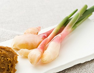 茨城県産の葉しょうがを使ったレシピ