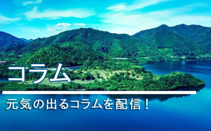 菅野哲正プロフィール